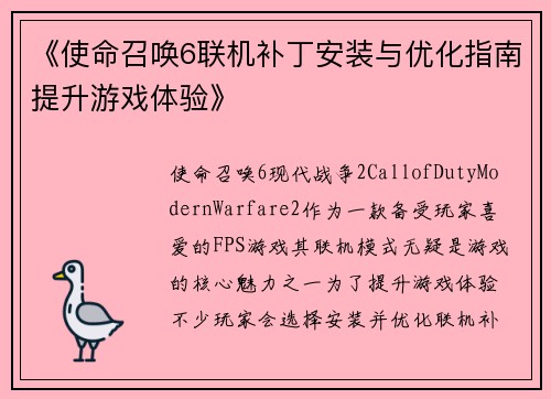 《使命召唤6联机补丁安装与优化指南提升游戏体验》